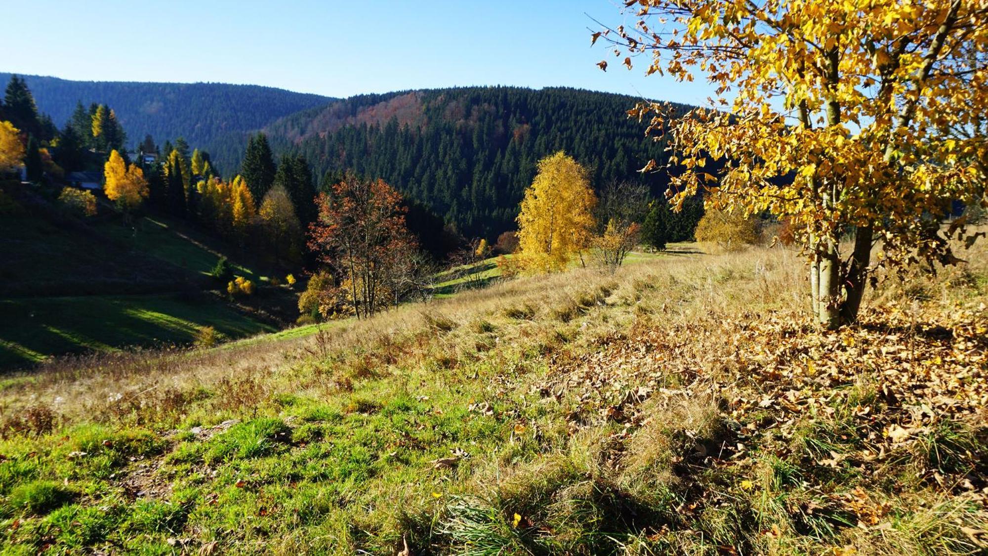 Hotel Beck Lauscha Екстериор снимка